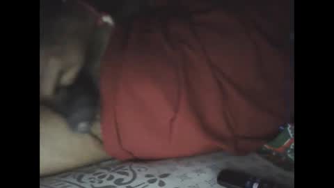 Sree0703 online show from February 2025 06:04:01 PM