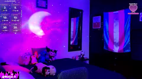   online show from February 2026 12:06:01 PM