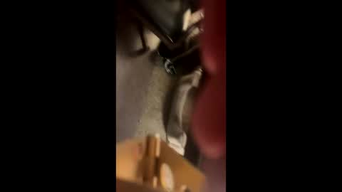 Kaleb online show from November 2025 05:46:02 PM