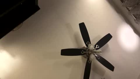 Kaleb online show from November 2025 09:19:02 AM