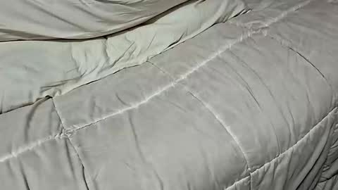 Dickinabox online show from November 2025 08:42:01 AM