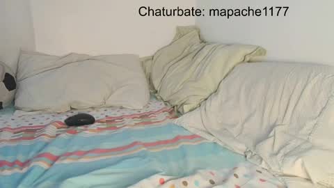 mapache1177 online show from May 2026 06:59:01 PM