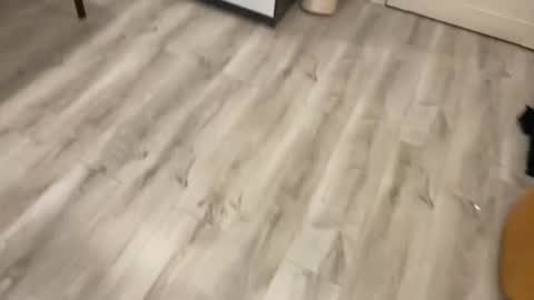 Snapshot of marc105100 chatting on February 2026 06:12:02 PM alex marvelxx online show from February 2026 06:12:02 PM