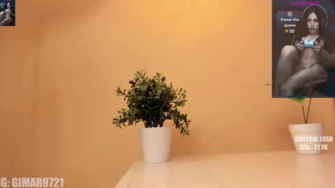 Snapshot of marcela_davila1 chatting on February 2025 11:09:01 PM Marcela online show from February 2025 11:09:01 PM