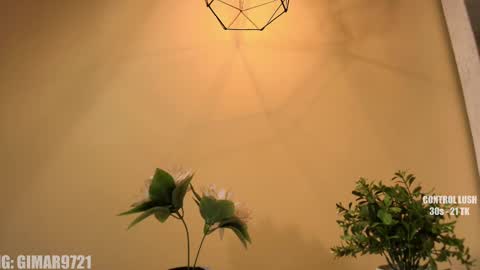 Snapshot of marcela_davila1 chatting on September 2025 12:00:02 AM Marcela online show from September 2025 12:00:02 AM