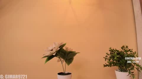 Snapshot of marcela_davila1 chatting on September 2025 01:22:01 AM Marcela online show from September 2025 01:22:01 AM