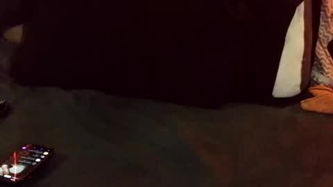 marctheslut online show from May 2026 06:04:02 PM