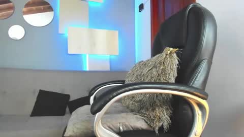 Snapshot of marcus_jax1 chatting on February 2025 04:37:01 AM Marcus Jax1 online show from February 2025 04:37:01 AM