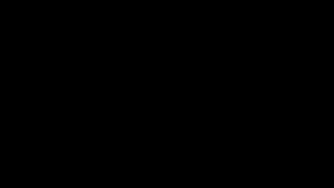 Snapshot of margolane chatting on September 2025 02:16:02 AM Elle online show from September 2025 02:16:02 AM