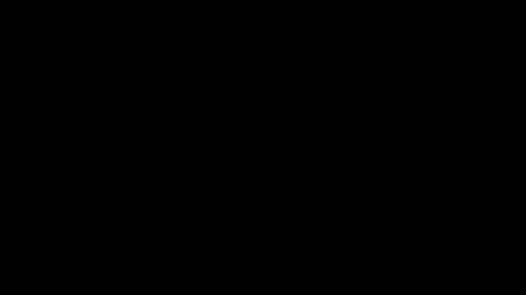 Snapshot of margolane chatting on October 2025 02:26:01 PM Elle online show from October 2025 02:26:01 PM