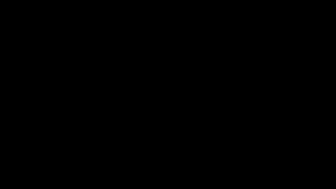 Snapshot of margolane chatting on October 2025 12:11:02 AM Elle online show from October 2025 12:11:02 AM