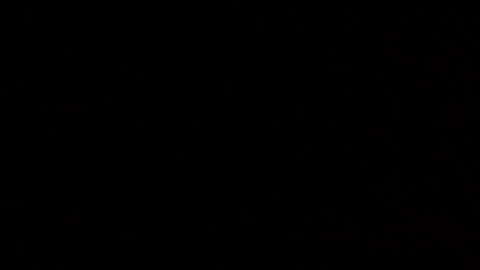 Snapshot of margolane chatting on October 2025 03:18:01 PM Elle online show from October 2025 03:18:01 PM