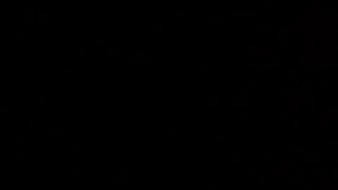 Snapshot of margolane chatting on December 2025 02:10:02 AM Elle online show from December 2025 02:10:02 AM