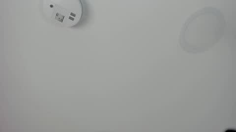 Maria Pettit online show from March 2026 12:53:01 PM