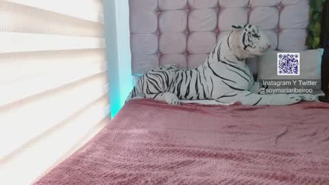 Snapshot of mariaribeiro chatting on January 2026 07:49:02 PM mariaribeiro online show from January 2026 07:49:02 PM