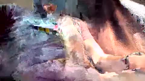 mark102839 online show from March 2026 08:26:01 PM