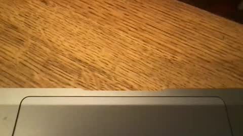 Snapshot of marklondonguy2023 chatting on November 2025 09:22:01 AM marklondonguy2023 online show from November 2025 09:22:01 AM