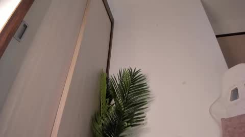 markus... Y online show from December 2024 12:42:02 AM