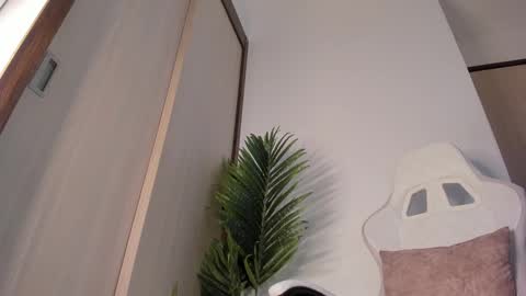 markus... Y online show from December 2024 01:24:01 AM