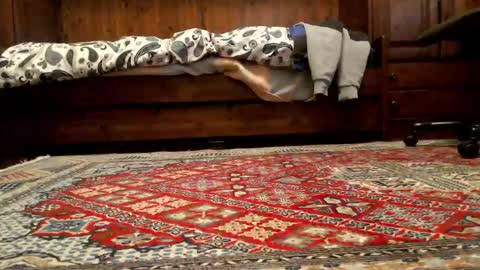 Snapshot of markusxxo chatting on March 2026 08:40:02 AM markusxxo online show from March 2026 08:40:02 AM