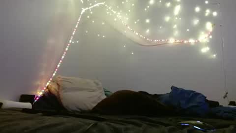 Snapshot of markymark101825061 chatting on February 2025 08:31:02 PM markymark101825061 online show from February 2025 08:31:02 PM