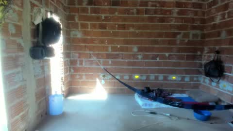 MAX online show from January 2025 12:38:02 PM