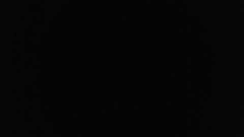 marsupilami_82_ online show from October 2025 04:30:01 PM