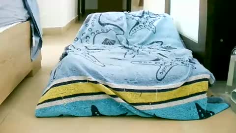 Play with me I obey I promise  online show from October 2025 10:58:02 AM