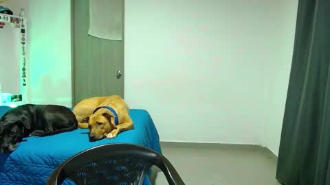 mary online show from October 2025 02:12:01 AM