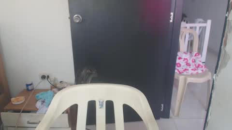 maryam_arabicmilk online show from January 2025 03:07:01 PM