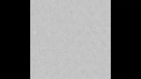   online show from October 2025 11:40:02 AM