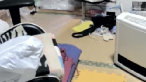 masayann online show from December 2024 07:07:02 AM