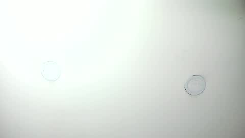 MashaPink online show from April 2026 12:38:02 PM