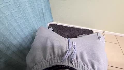 Snapshot of maskedmagikstik chatting on December 2025 02:57:02 PM maskedmagikstik online show from December 2025 02:57:02 PM