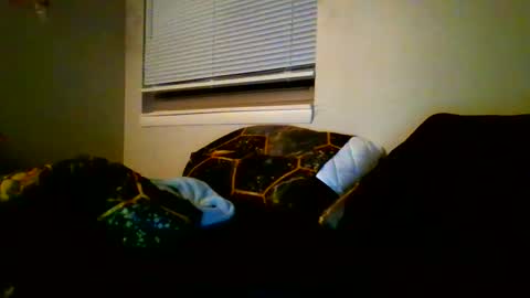 alex online show from January 2025 04:10:02 AM