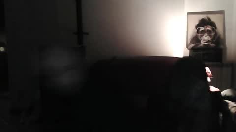 Snapshot of mat11efou chatting on March 2025 07:20:02 PM mat11efou online show from March 2025 07:20:02 PM