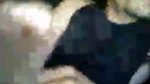 matiasva73 online show from July 2026 09:57:02 AM