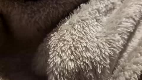 mattca80 online show from October 2025 02:53:01 AM