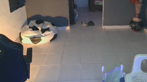 Snapshot of mattias_dantee chatting on February 2025 02:12:02 AM mattias online show from February 2025 02:12:02 AM