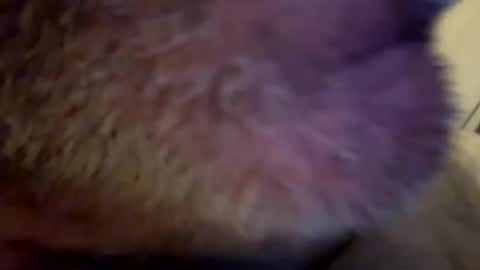 maverick7000 online show from February 2025 08:17:01 AM