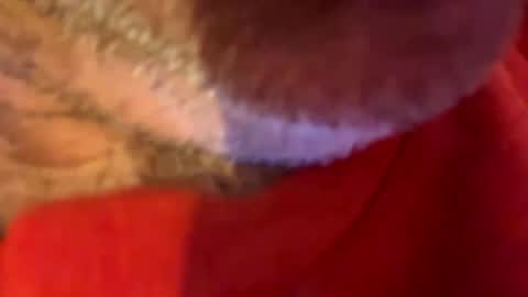 maverick7000 online show from October 2025 08:59:01 AM