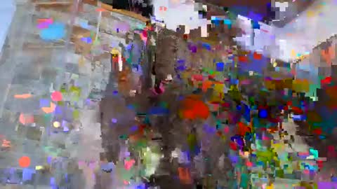 Sebastian online show from December 2024 11:13:02 PM