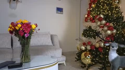 Sebastian online show from December 2024 01:14:01 AM