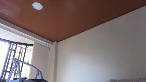 Sebastian online show from January 2025 03:26:01 PM