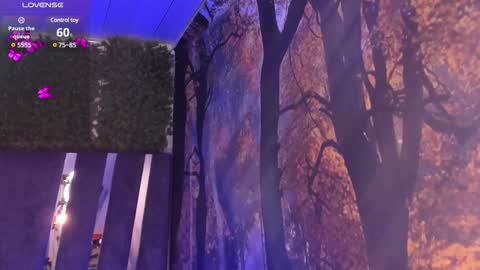 Maya online show from December 2024 10:55:02 AM