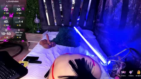 Maya online show from December 2024 02:56:01 PM