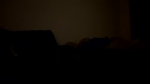 Snapshot of mb99667788 chatting on February 2026 03:15:01 AM mb99667788 online show from February 2026 03:15:01 AM