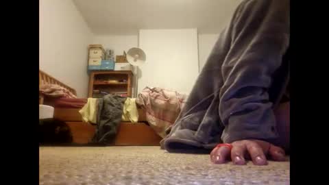 mccock16cm online show from April 2026 08:57:02 PM