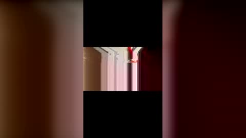 Snapshot of mcgriffwes2 chatting on February 2026 02:17:02 AM mcgriffwes2 online show from February 2026 02:17:02 AM