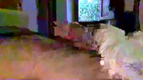 Snapshot of mecalientasmucho chatting on May 2026 04:40:01 AM mecalientasmucho online show from May 2026 04:40:01 AM